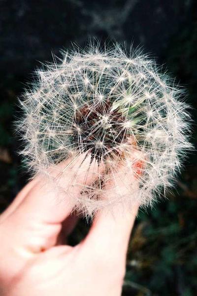 射雕英雄传：侠之大者